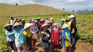 Group of women farmers wearing traditional hats gathered on a sunny field, showcasing rural life.