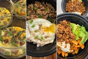 Imgi 201 High Protein Meal Plan FFE