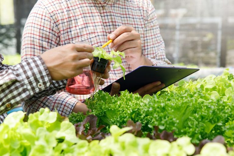 Imgi 535 jurusan agribisnis