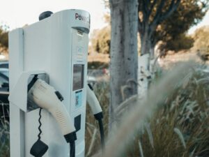 Pexels kindelmedia