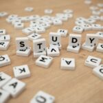 Pexels miniperde
