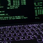 Pexels thales13