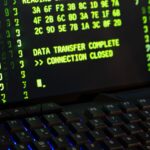 Pexels thales13