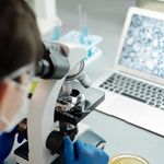 Researcher examining samples through a microscope with a petri dish in a lab setting.