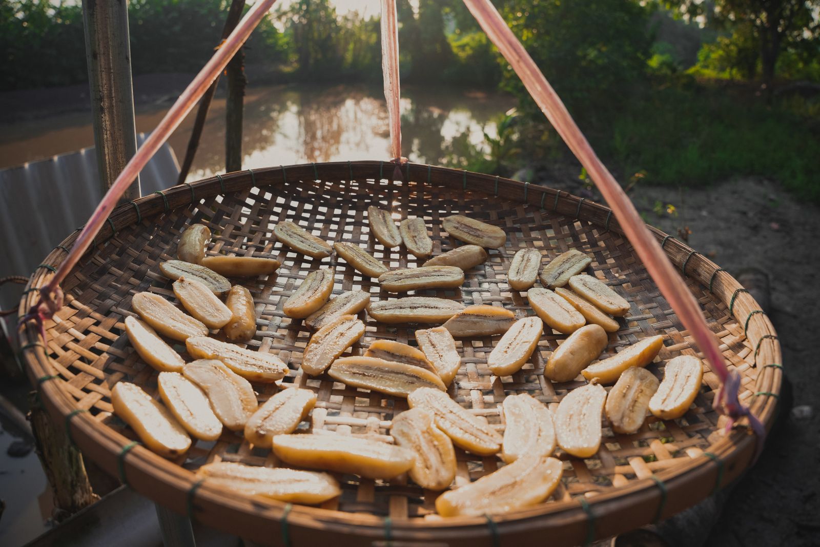 Slices of bananas sun-drying on a bamboo tray create a rustic, traditional ambiance.