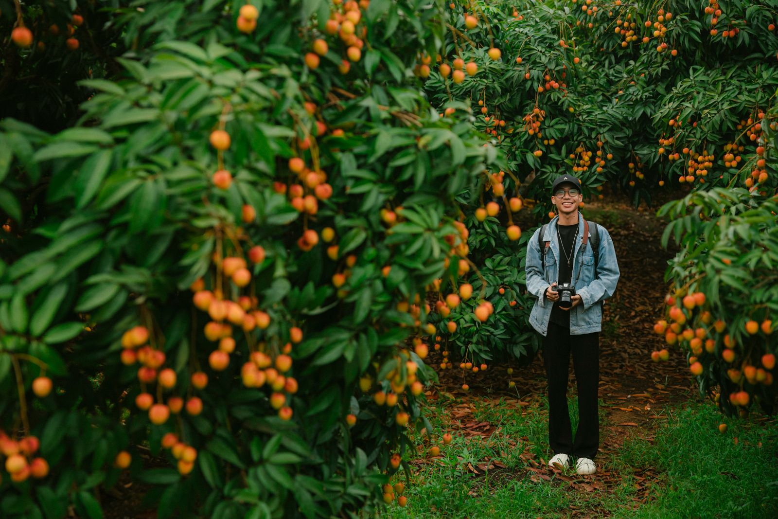 Smiling photographer standing in a vibrant lychee orchard holding a camera.
