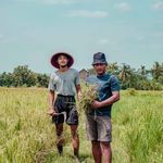 Two farmers in hats working in a vibrant green field on a sunny summer day.