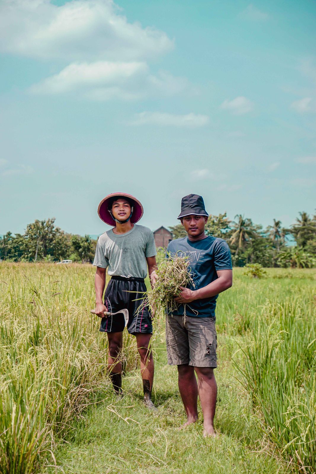 Two farmers in hats working in a vibrant green field on a sunny summer day.