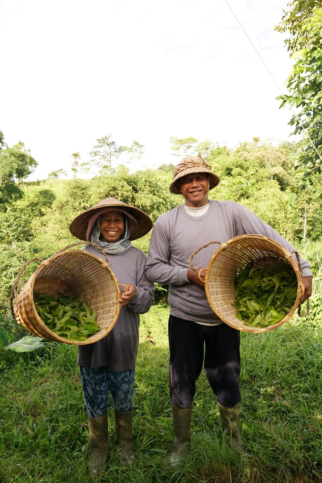 Two smiling farmers showcasing their leafy harvest in the lush fields of Bali, Indonesia.