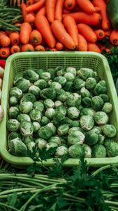 Vibrant display of fresh Brussels sprouts, carrots, and vegetables at a Mexican farmers market.