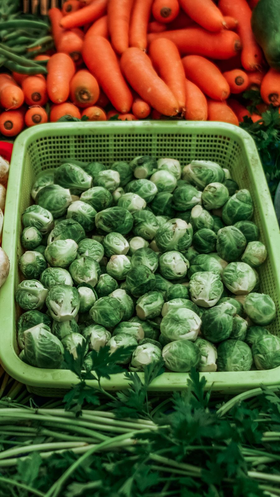 Vibrant display of fresh Brussels sprouts, carrots, and vegetables at a Mexican farmers market.